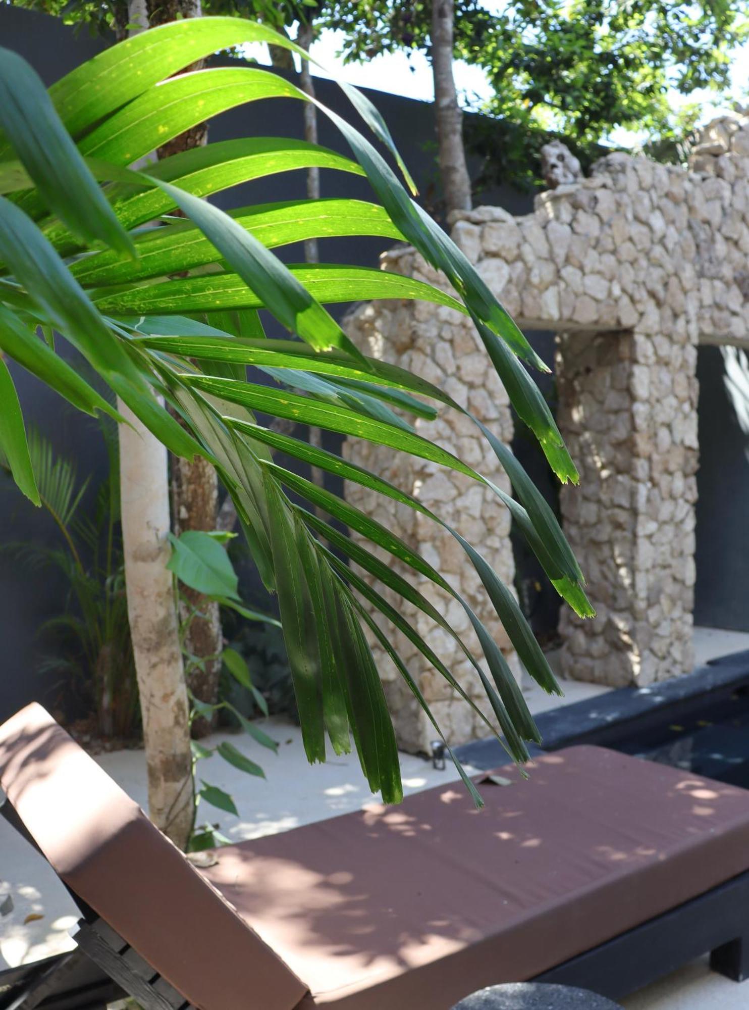 Casa Valkinia Luxury W Private Pool Villa *